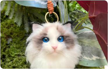 Cat with pink accessory
