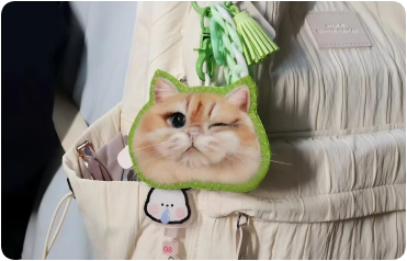 Cat with pink accessory